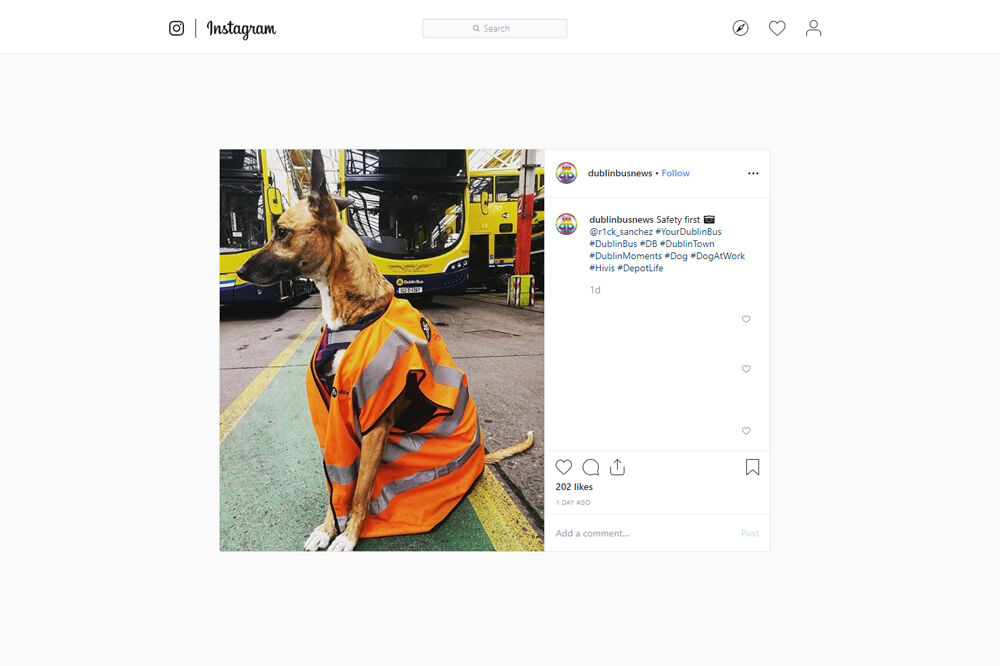 Dublin-Bus-Instagram-profile