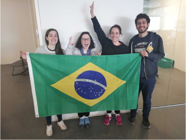 Omnibus Project: Q1 2019 results