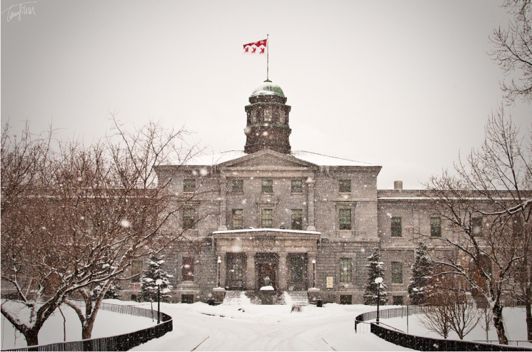 Come Meet Busbud Feb 22nd at McGill University Career Fair